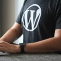 Why Professional Web Designers Use WordPress