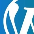 Is WordPress a Form of Web Development?