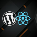 Can i use wordpress as a website?